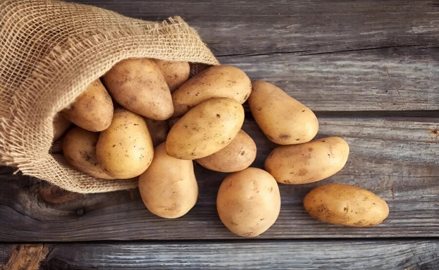 Mannen lämnade sin gravida fru hos svärmodern för att gräva potatis, medan han själv åkte på semester: men det som en dag hände i trädgården chockade grannarna