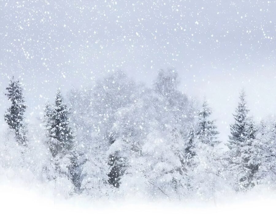 En ung kvinna gick längs en skogsstig när hon såg en hand sticka upp ur snön: När hon rörde vid denna märkliga upptäckt skrek hon av skräck